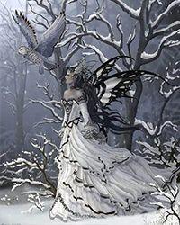 阴阳师秘录王阳